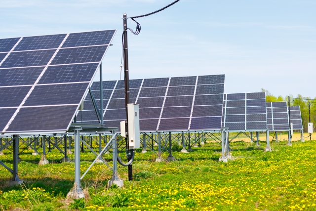 太陽光発電の遠隔監視システムとは？導入メリット、費用、失敗しない選び方を4ステップで解説
