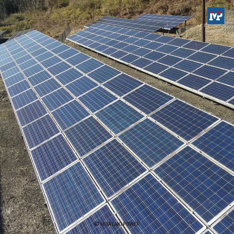 長期安定運用のために！太陽光発電所の除草管理