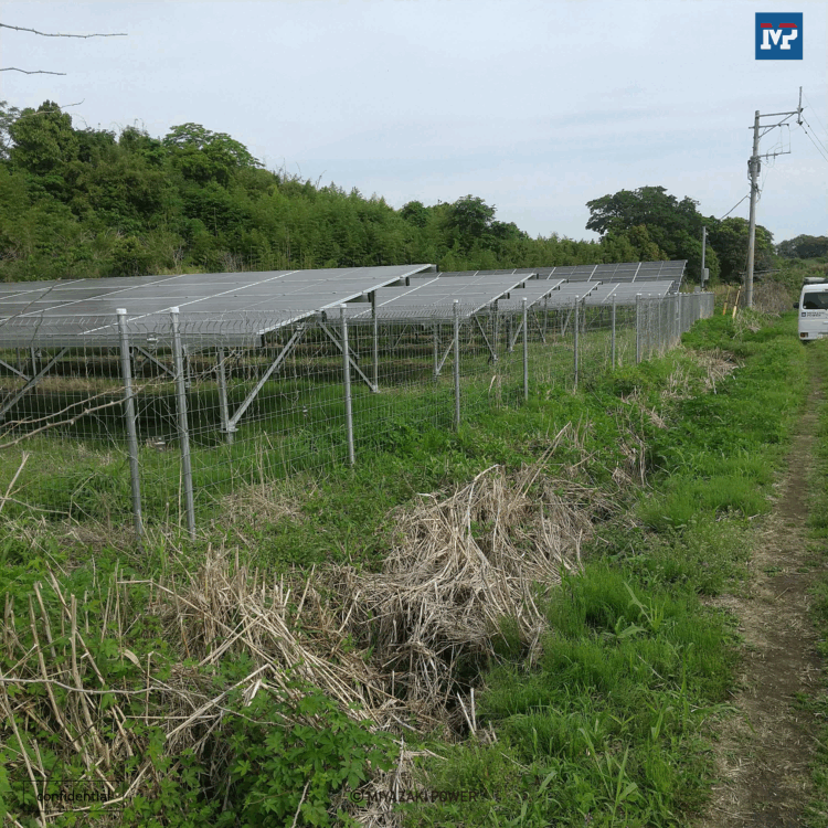 契約前と比べてこんなに違う！太陽光発電所の除草管理ビフォー・アフター