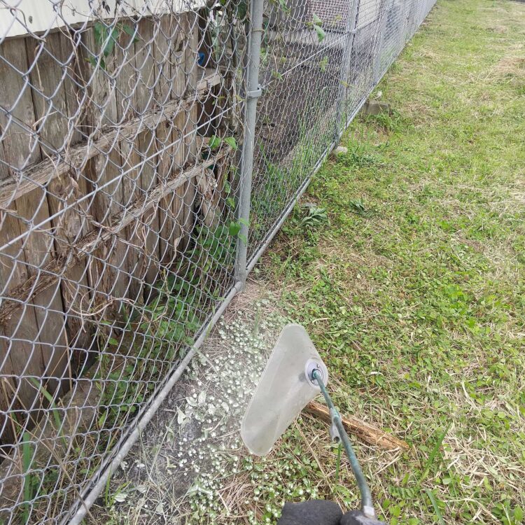 除草剤散布の様子