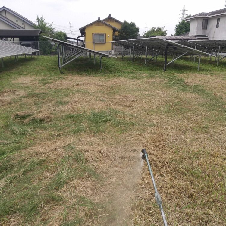 除草剤散布の様子
